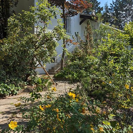 Maison Spacieuse Et Lumineuse 4 Personnes Lavilledieu  Esterno foto