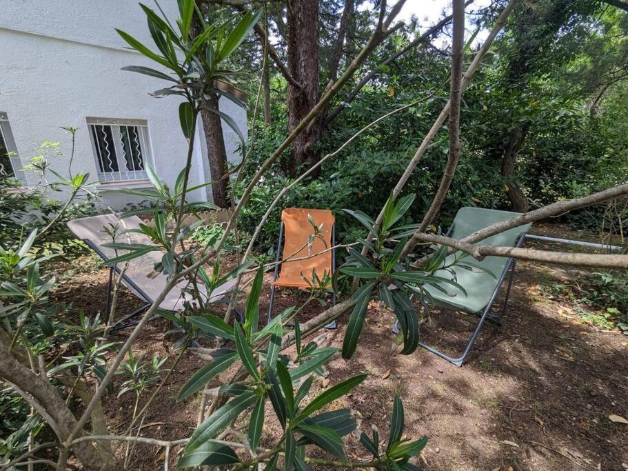 Maison Spacieuse Et Lumineuse 4 Personnes Lavilledieu  Esterno foto
